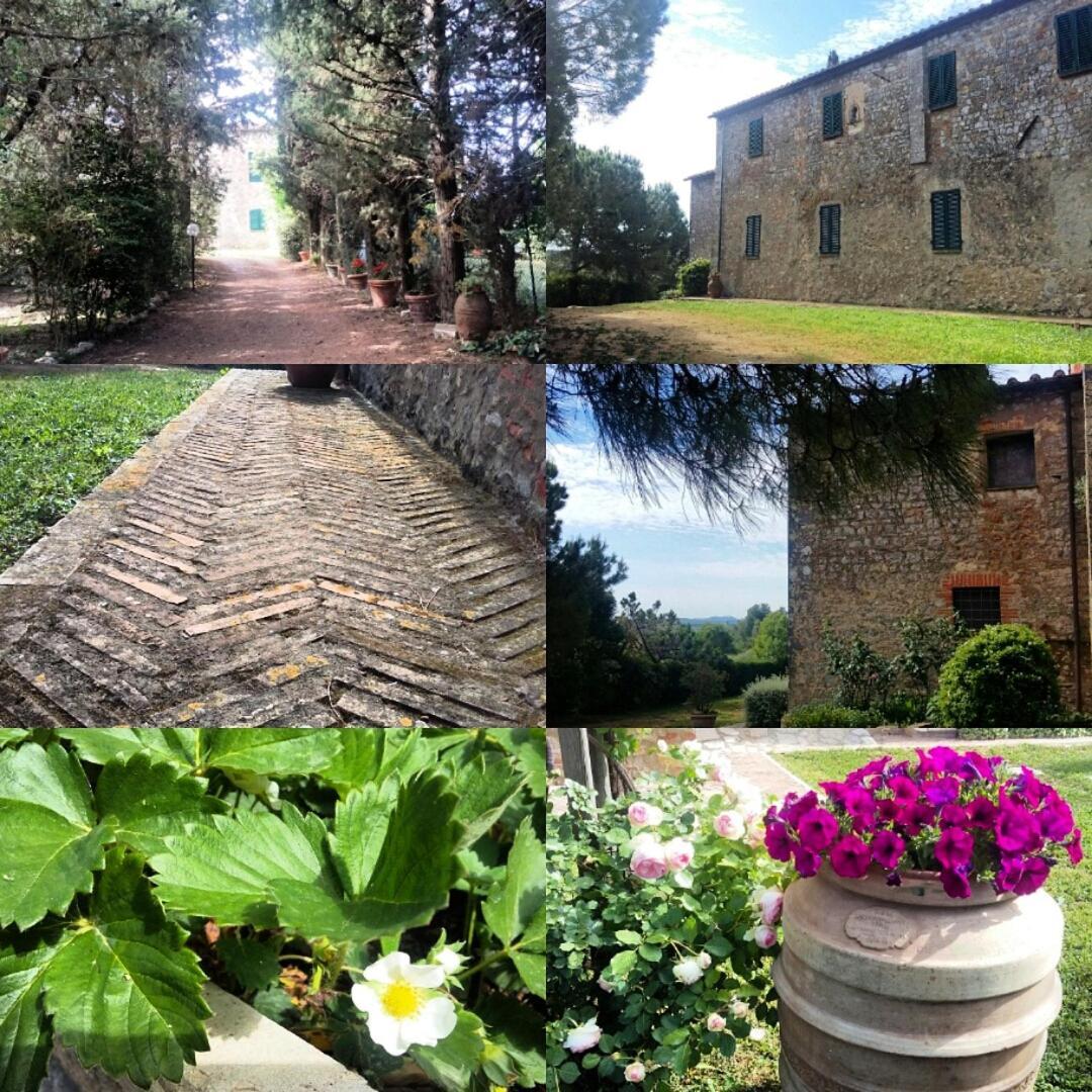 Residenza Santa Maria In Borraccia Bed and Breakfast Magliano in Toscana Exteriör bild